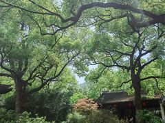 -惠山古镇·寄畅园