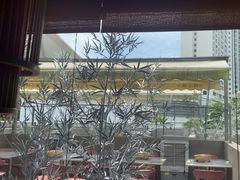 -蛙小侠(珠海华发商都店)