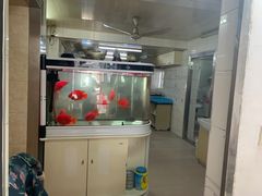 -高桥小香松糕