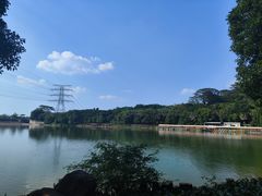 -水濂山森林公园