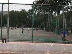 -山东师范大学篮球场