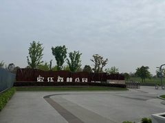-上海滨江森林公园