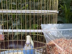 -宠爱我(南山店)