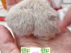 -猫员外精酿啤酒馆(壹海城店)