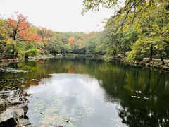 -灵谷景区