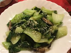 -熊猫川菜馆 panda chine