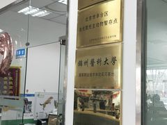 -利又安动物医院··老年病·猫科犬科·中兽医