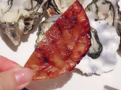 -壹号港湾