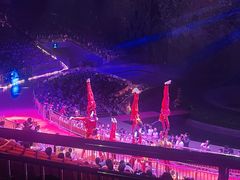-灵玲国际马戏城