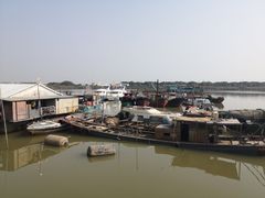 -大湾区中央湿地公园-十九涌