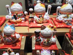 -猫咪博物馆(顶澳仔猫街店)