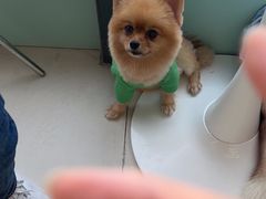 -怪兽屋·羊驼·猫咖·狗咖(俊华广场店)