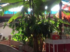 -漕河全驴宴饭店(徐水店)