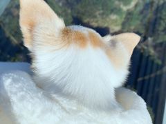 -宁波五龙潭景区