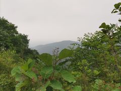 -香山公园
