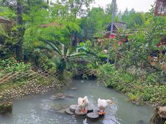 -青城甲(青城山店)