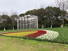 -上海鲜花港