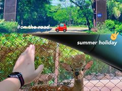 -海南热带野生动植物园