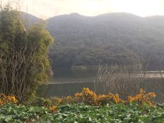 -广州市石门国家森林公园