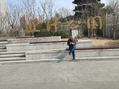 -迎泽公园