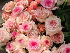 -上海交通大学(闵行校区)