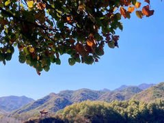 -玉渡山自然风景区