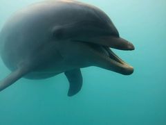 -北戴河圣蓝海洋公园