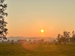 -盟重烧烤(东瓜山创始店)