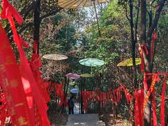 -重庆云阳龙缸景区