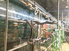 -荔城生鲜盛宴(番禺旗舰店)