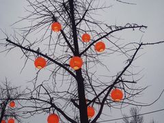 -大雁塔北广场音乐喷泉