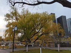 -西海子公园