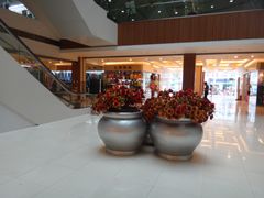 -双龙商场(环城南路店)