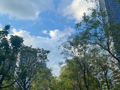 -深圳湾公园(南山区)