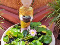 -西双版纳傣族园