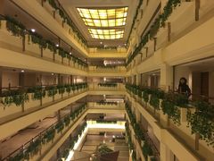 -深圳维景酒店