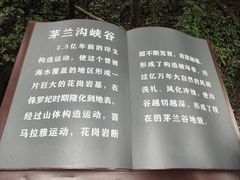 -茅兰沟国家森林公园