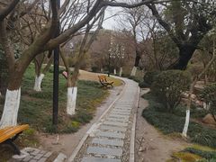 -汤山公园
