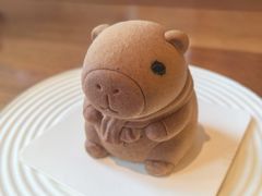 -科学家咖啡(海岸城店)