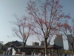 -西海子公园
