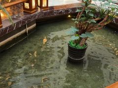 -潮皇食府(北京店)