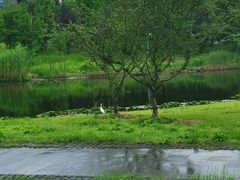 -同济大学(嘉定校区)