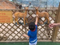 -萌宠亲子动物乐园(槐房万达店)