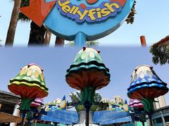 -海合安武汉极地海洋公园