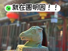 -中卫御苑福膳·养生局(圆明园店)