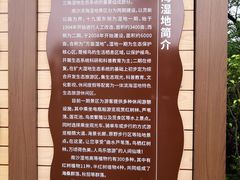 -大湾区中央湿地公园