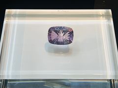 -烟台自然博物馆
