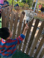 -萌宠亲子动物乐园(槐房万达店)