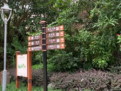 -金鸡山公园