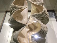 -青岛贝壳博物馆